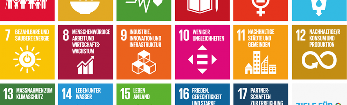 Sustainable Development Goals Deutsche Stiftung Verbraucherschutz